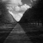 ICI_Sebald