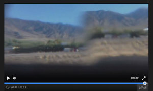 ICI-BLOGvir_anna_livestream-w