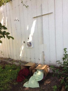 American Dream, Martin Gantman, 2015