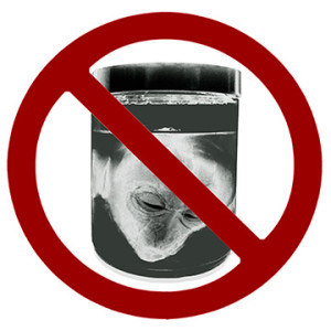 ICI-MHmonkeyhead8_logo-w