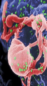 ICI-AIDSac2013-cov2-w