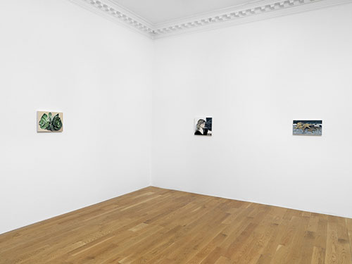 OCO-BLOGcaleb_considine2016-w