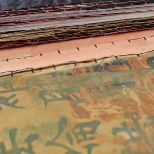 ici-ac95chavez_crop-w