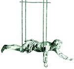 Institute Membership