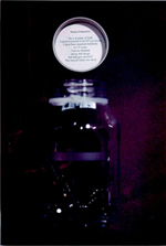 ICI-ABP100unknwnwomn5